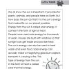 Pre-primary English Reading Comprehension