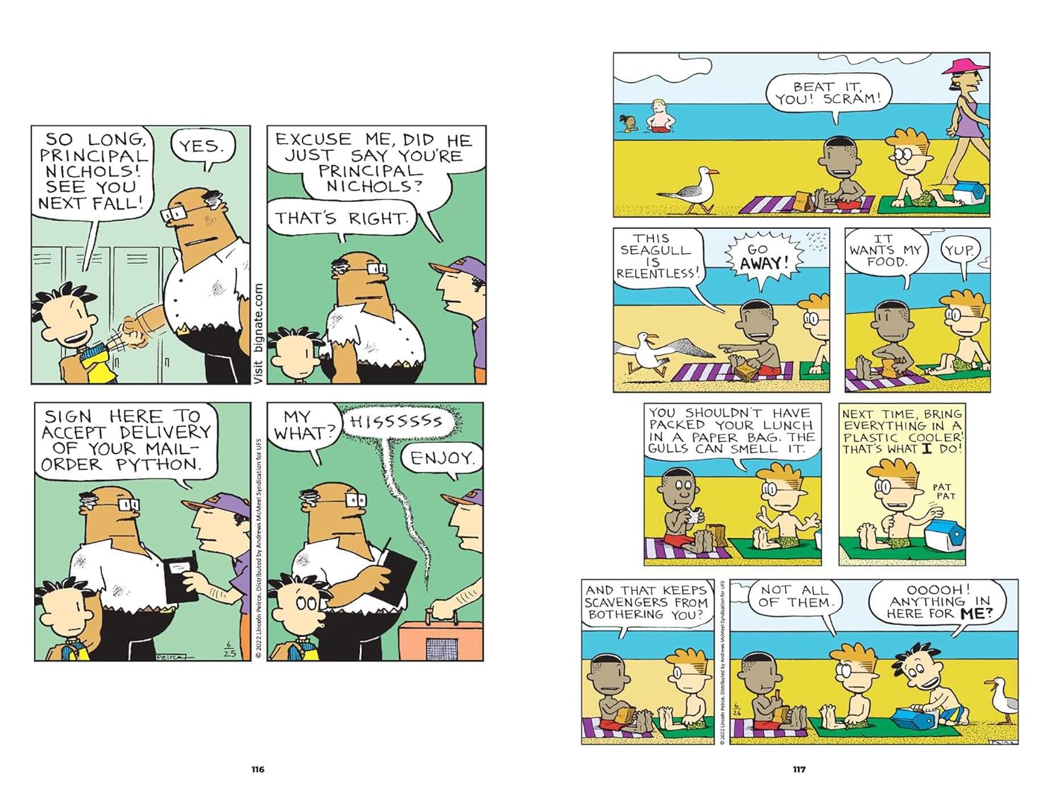 Big Nate 34: Code Red!