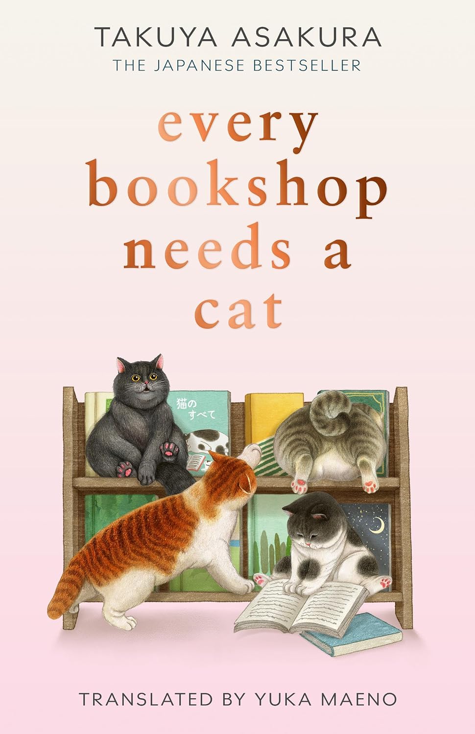 Every Bookshop Needs A Cat (Paperback)