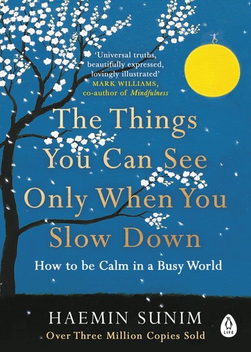 The Things You Can See Only When You Slow Down (Paperback)