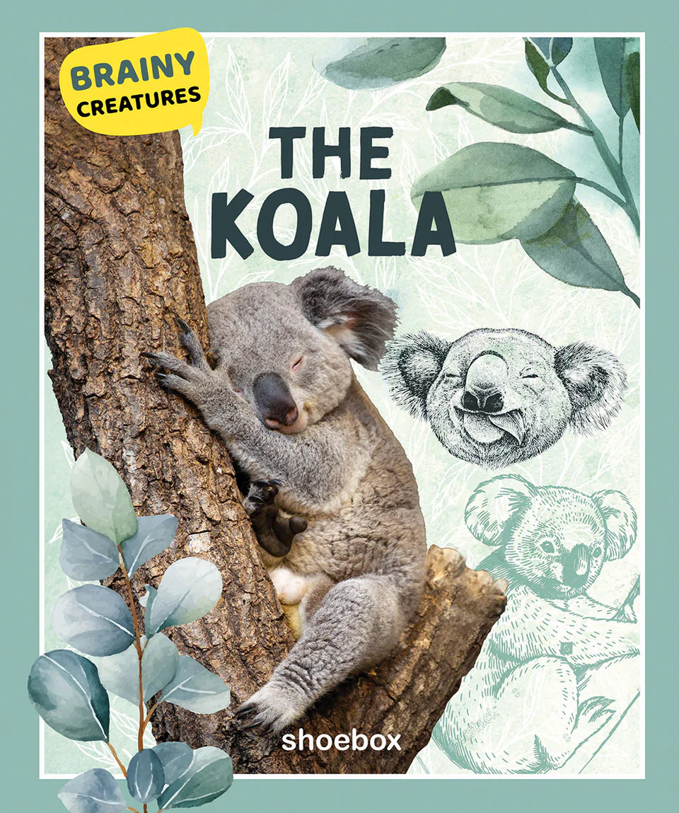 The Koala (Brainy Creatures)