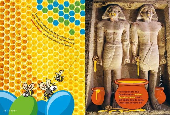 Return To Factopia (Hardcover)