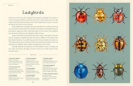 Insectarium (Junior Edition)