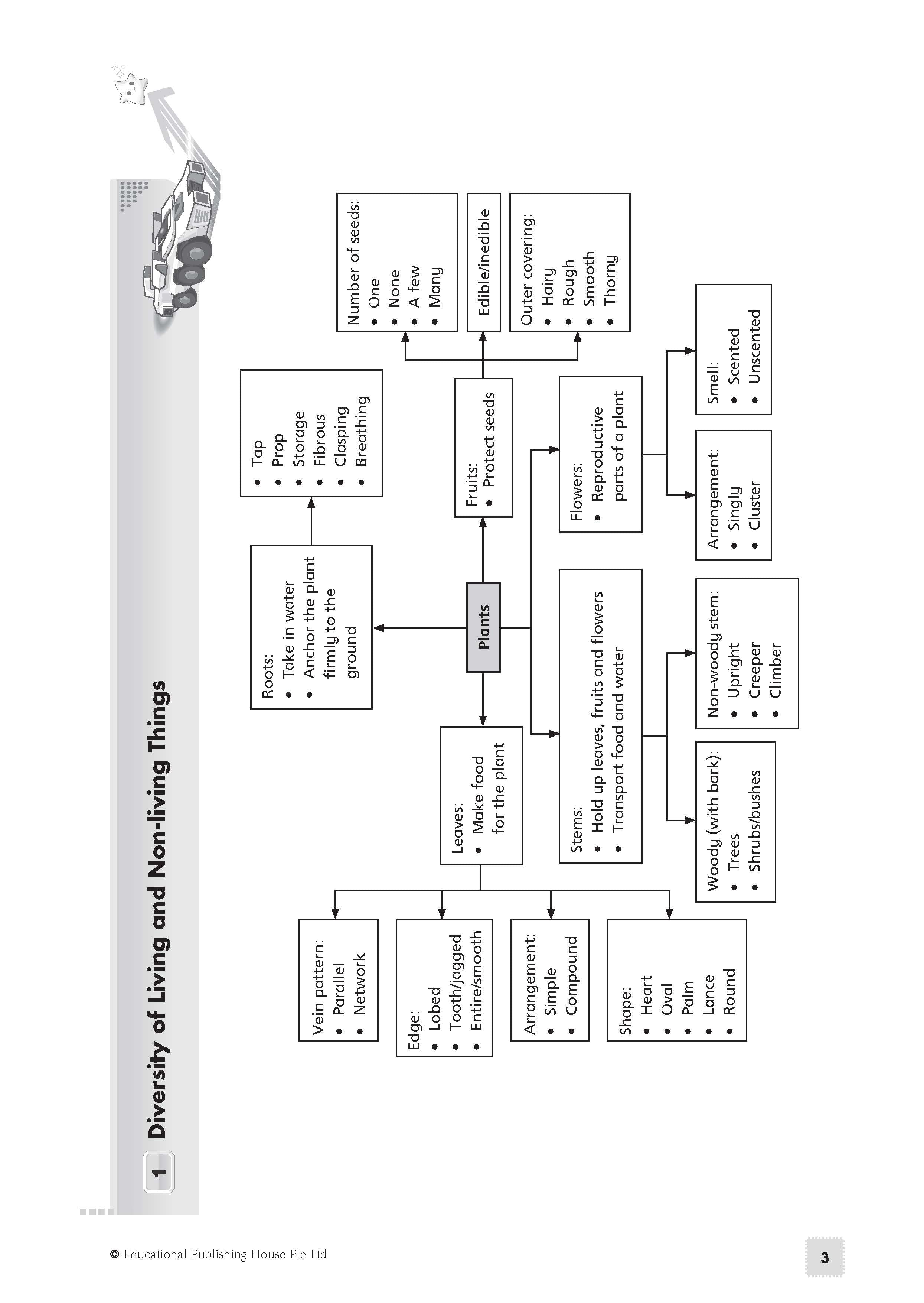 Primary 5 Science Exam Power Pack