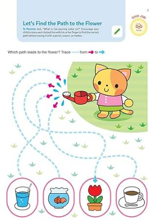 Playsmart Skill Builders 3+