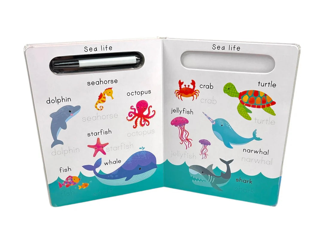 Wipe-Clean: Learn To Write First Words
