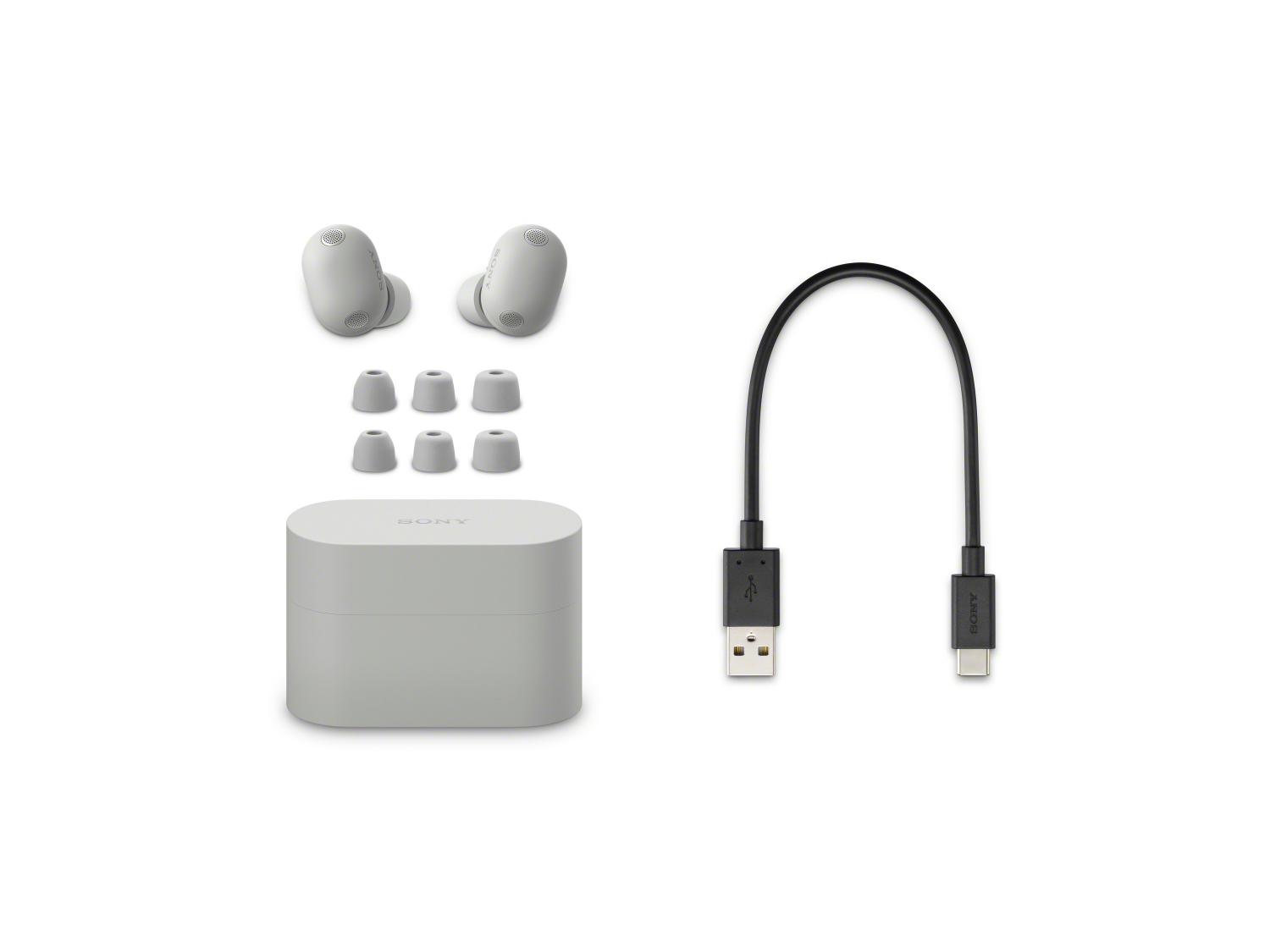 Sony WF-1000XM6 Wireless Noise Cancelling Headphones - Silver