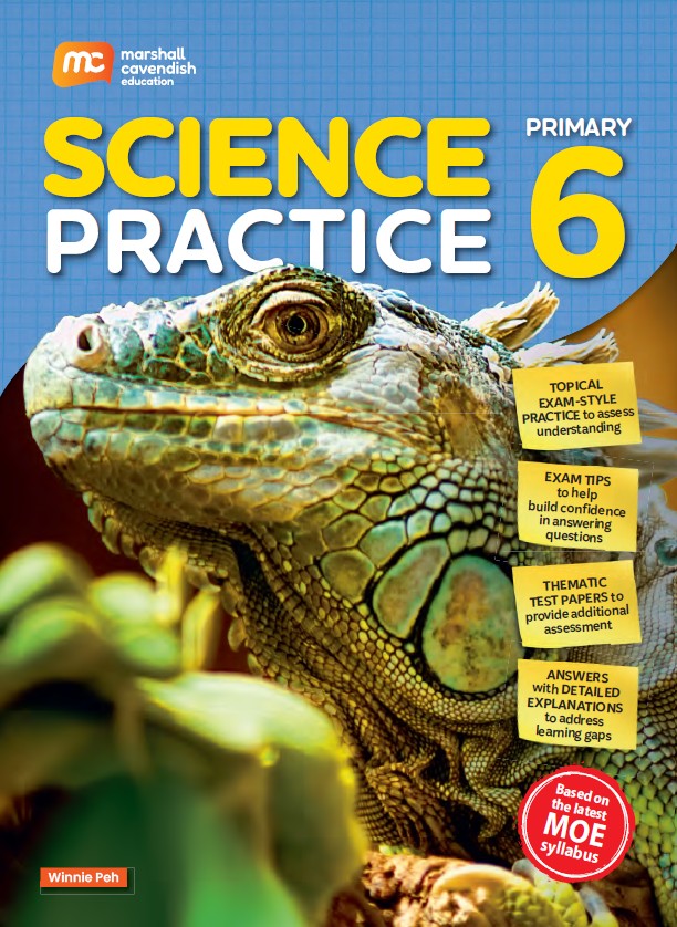 Science Practice Primary 6