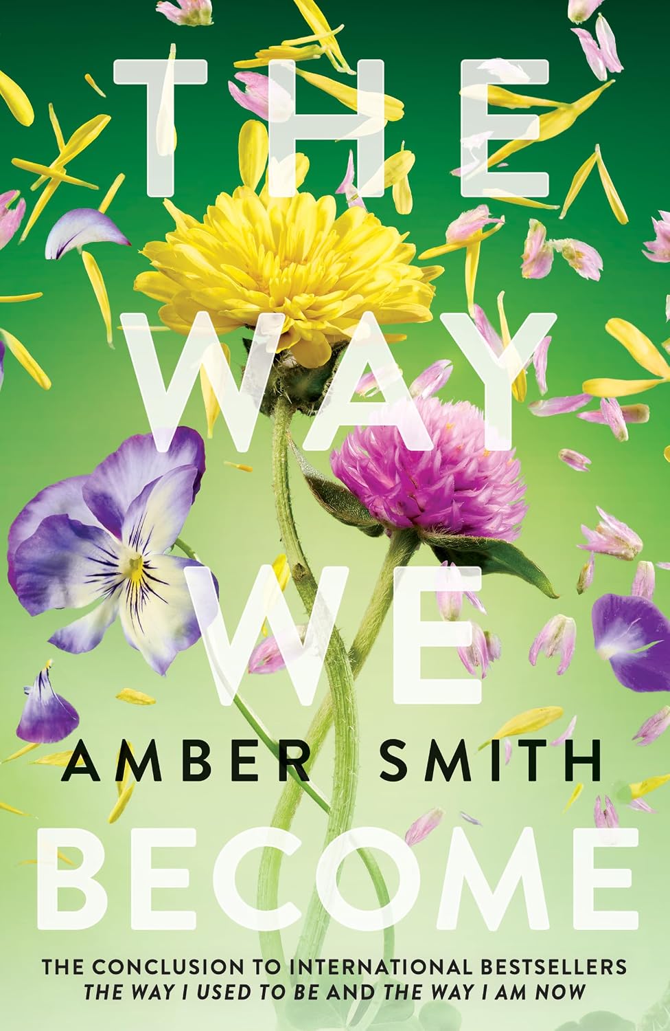 The Way We Become (The Way I Used to Be) Paperback