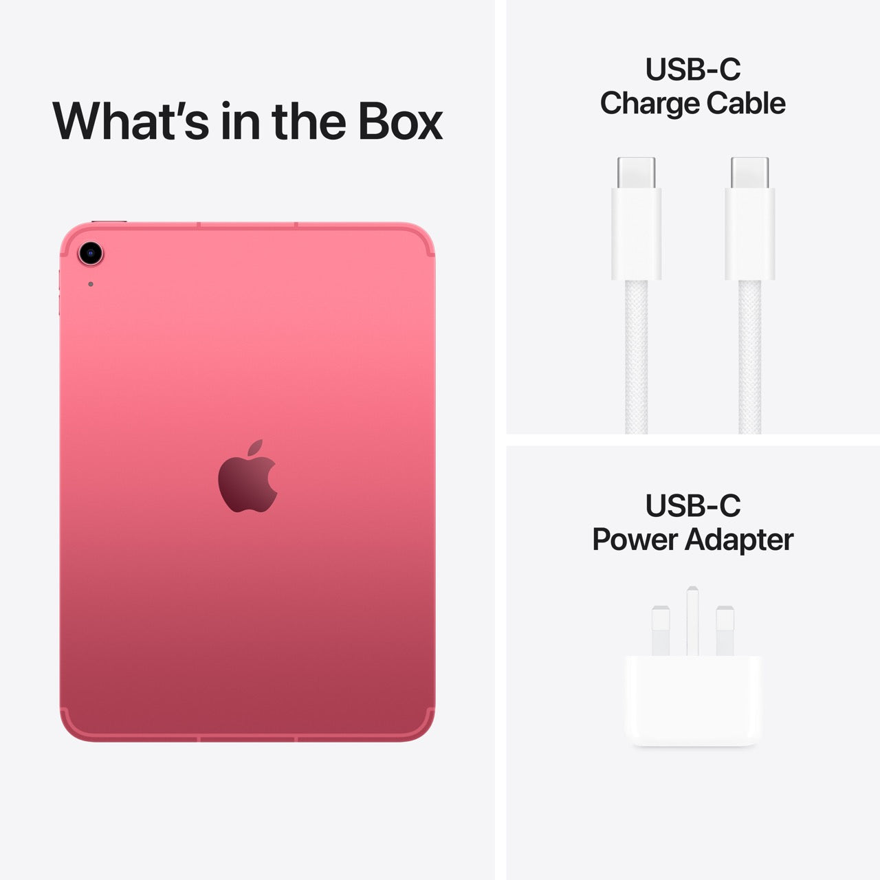 Apple iPad 11-inch Wi-Fi + Cellular A16 chip (Pink)
