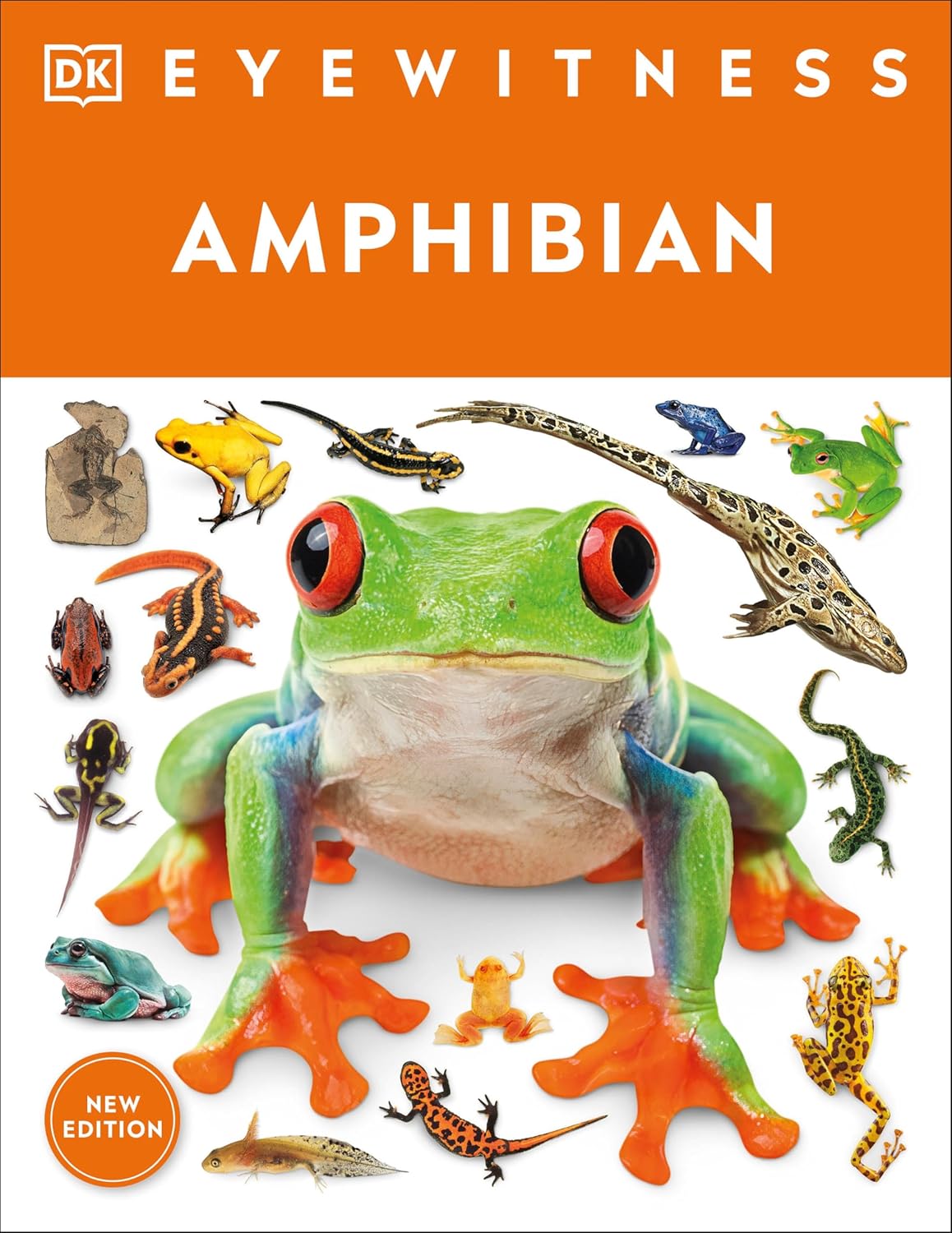 Eyewitness Amphibian (Paperback)