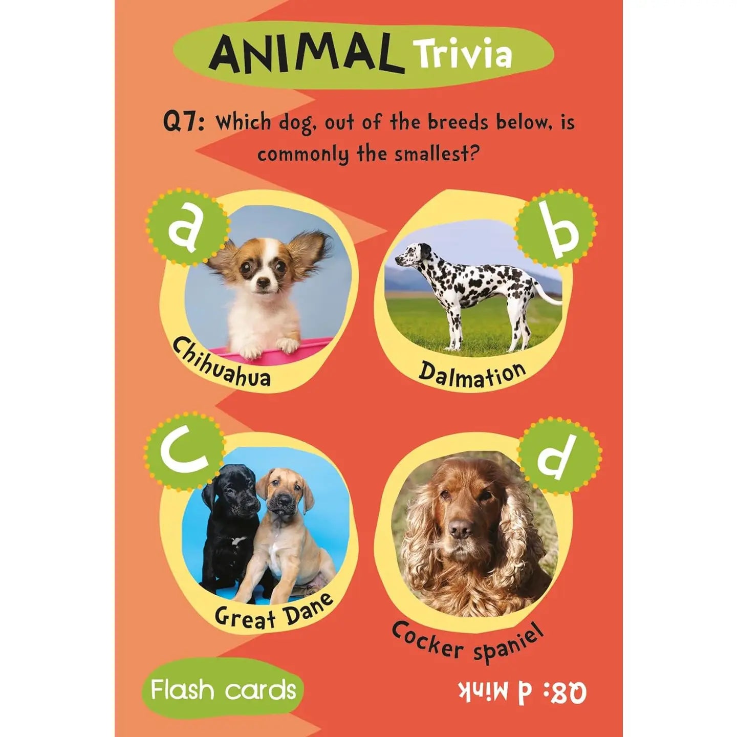 Flash Card Gift Set - Animal Trivia