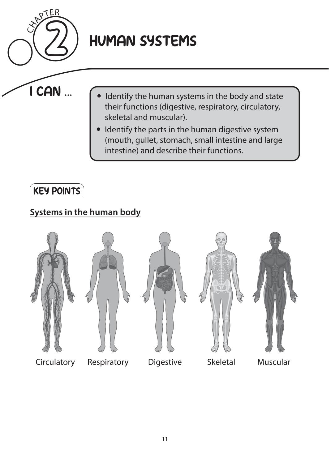 Science Topical Mastery Primary 4 Concept Notes & Application-based Practice