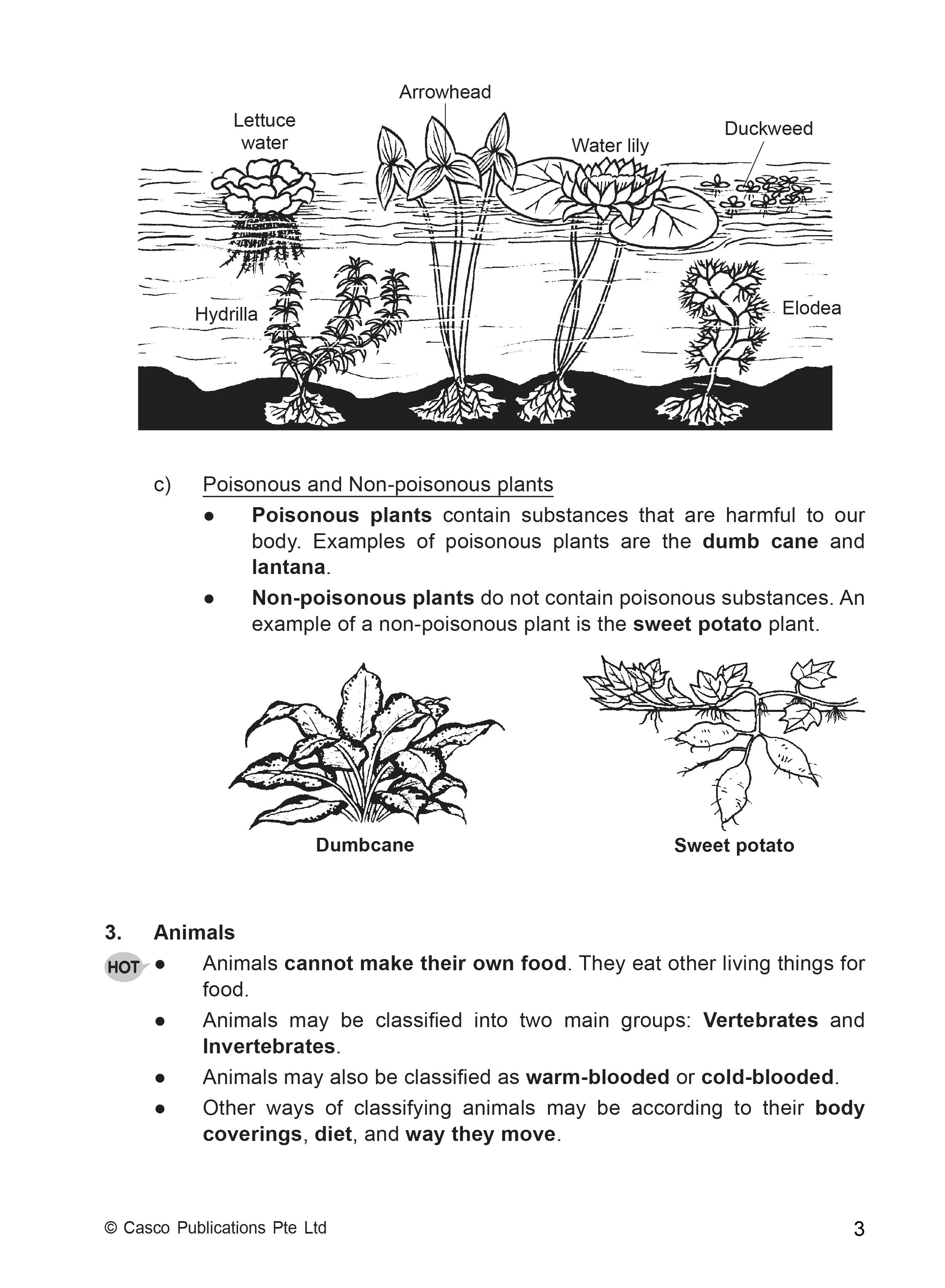 Classroom Science Process Skills Primary 3 - 2nd Edition