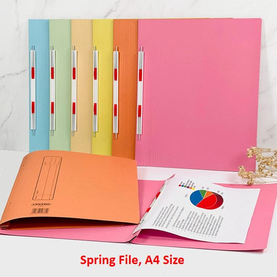 POP BAZIC Spring File (slider) 5s