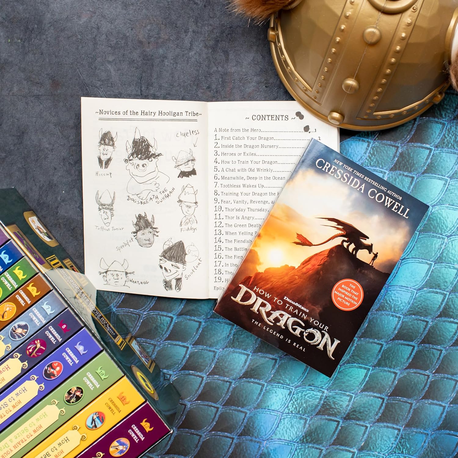 How To Train Your Dragon (Paperback)