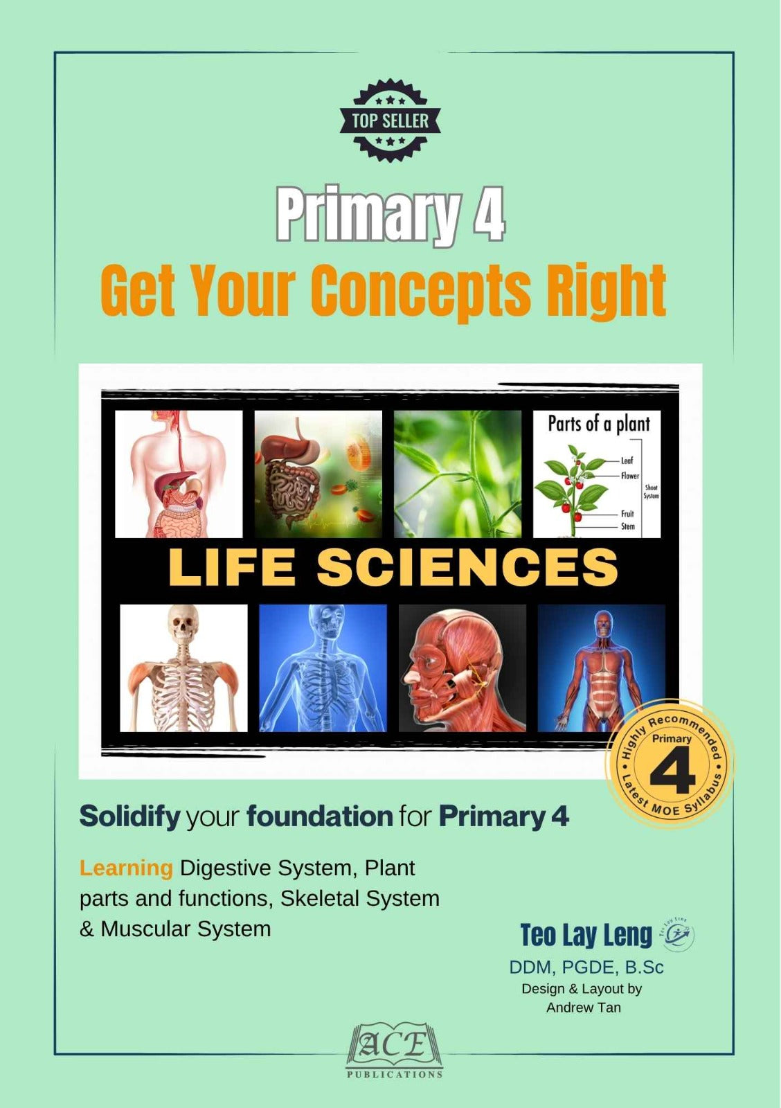 Primary 4 Life Science – Get Your Concepts Right