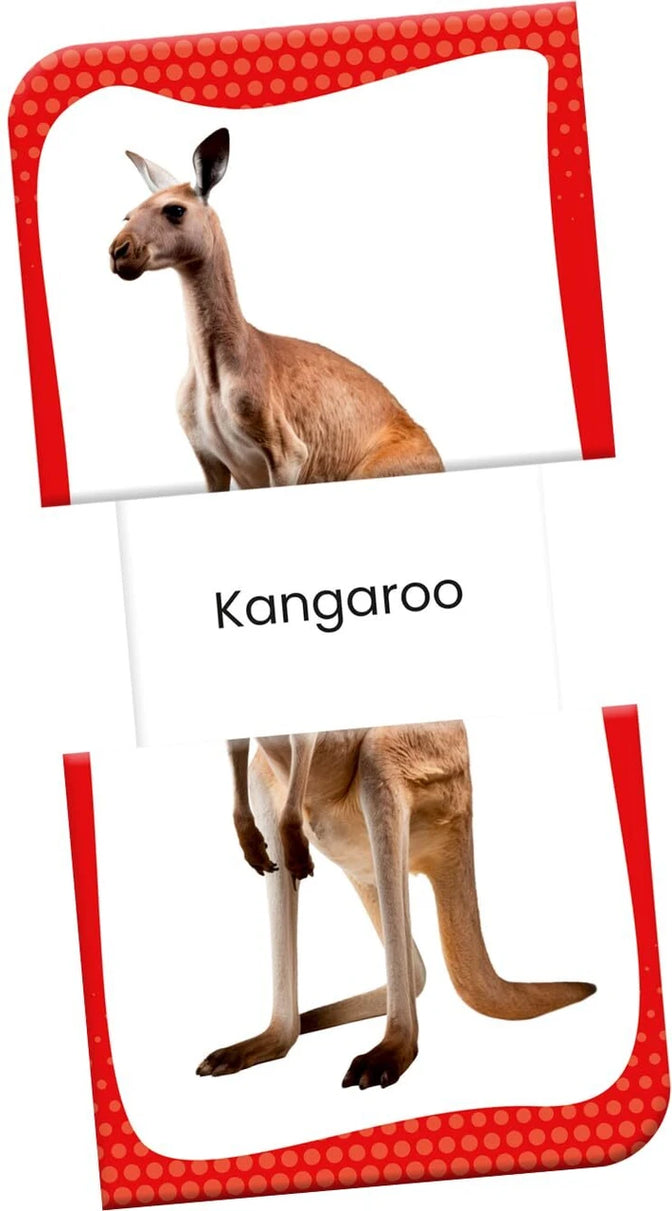 Slide & Learn Flashcards: Wild Animals & & Their Babies