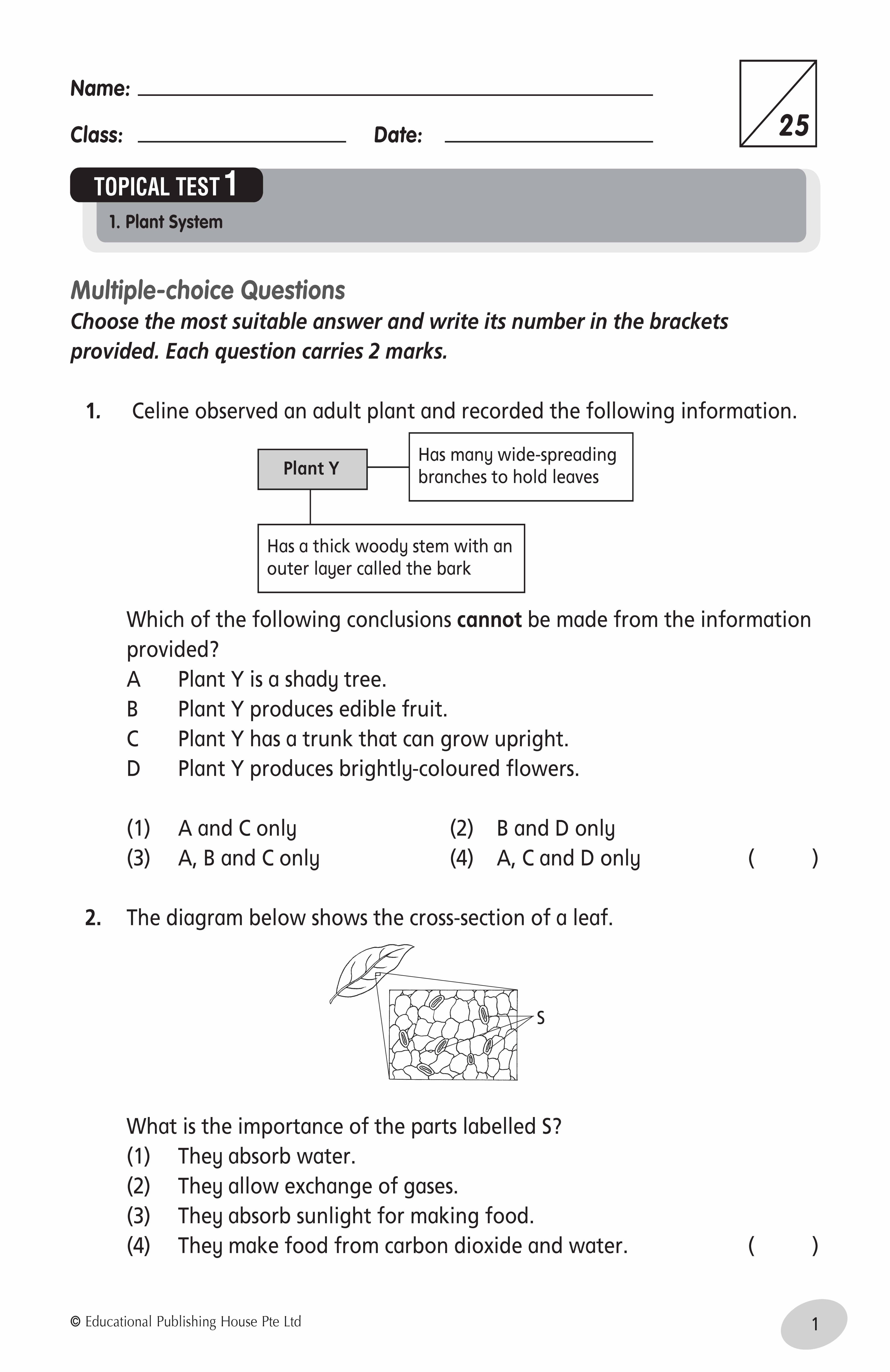 Primary 4 Science Tests