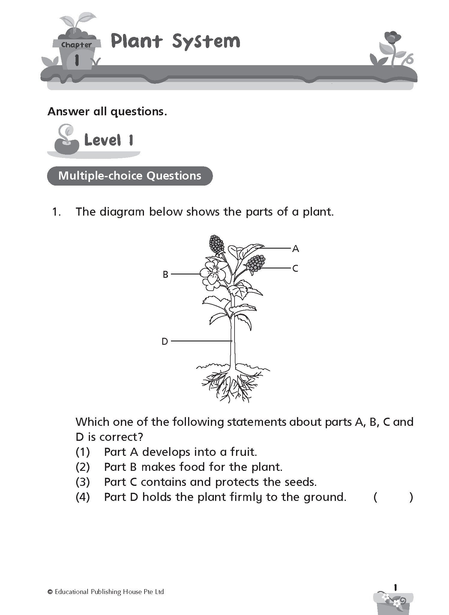 Primary 4 Science Progressive Practice