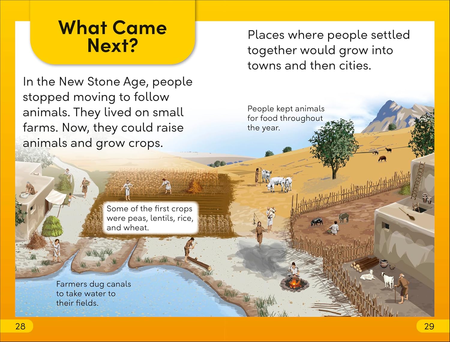Life In The Stone Age (DK Super Readers Level 2) – Paperback
