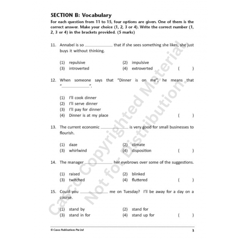 Primary 6 English 10 Class Tests