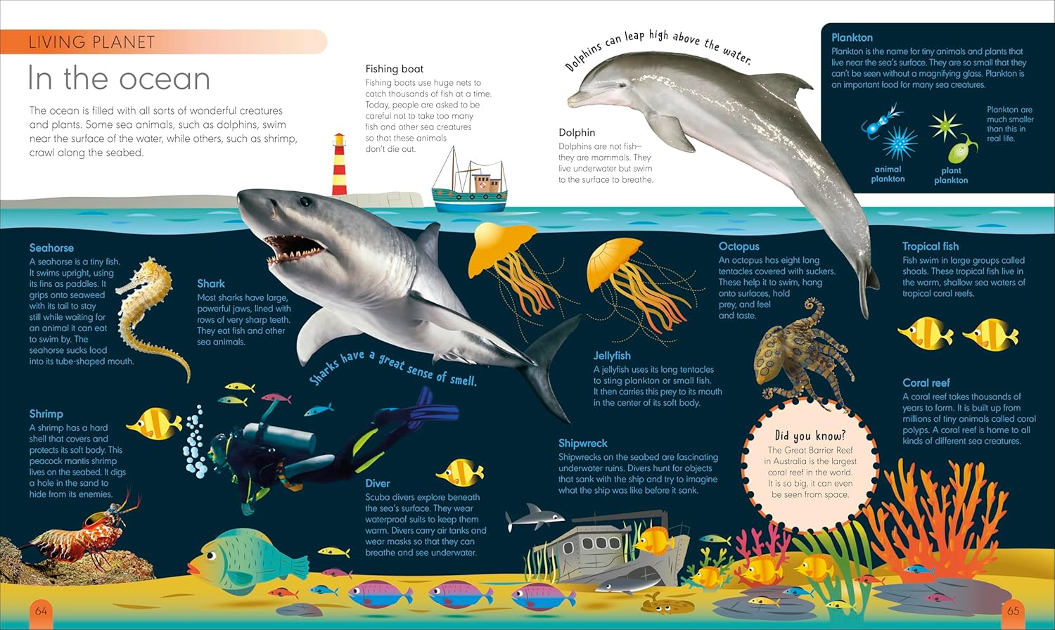My First Encyclopedia: Introduce Little Ones to the World of Learning 