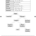 Pocket Notes Mathematics