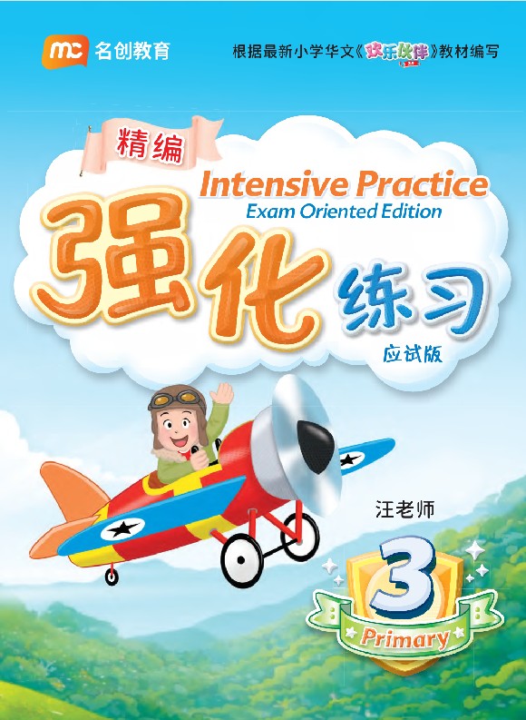 Primary 3 Intensive Practice Exam Oriented Edition