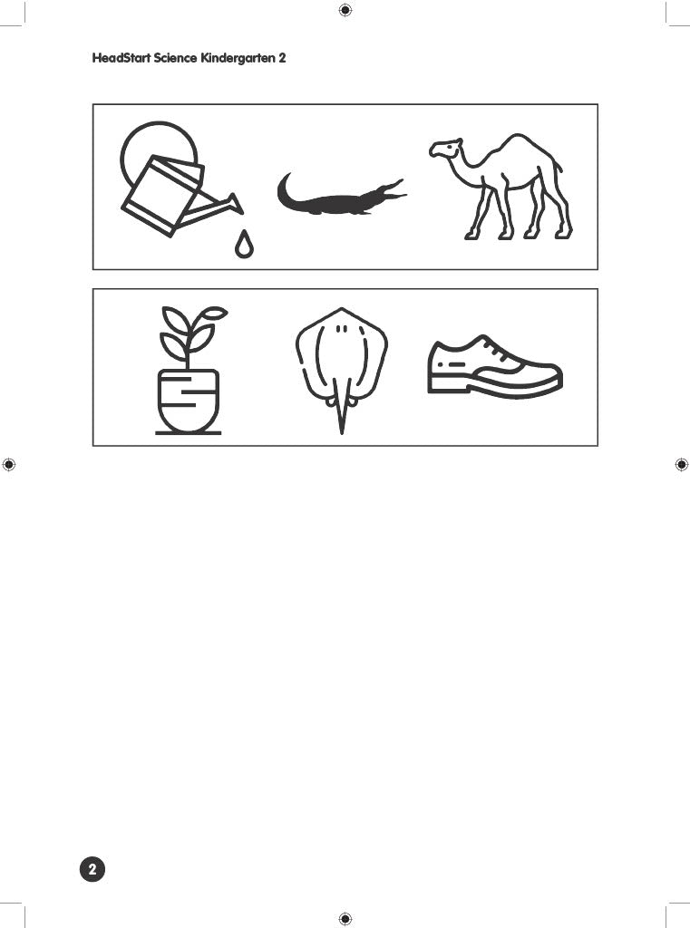 K2 Headstart Science Kindergarten 2