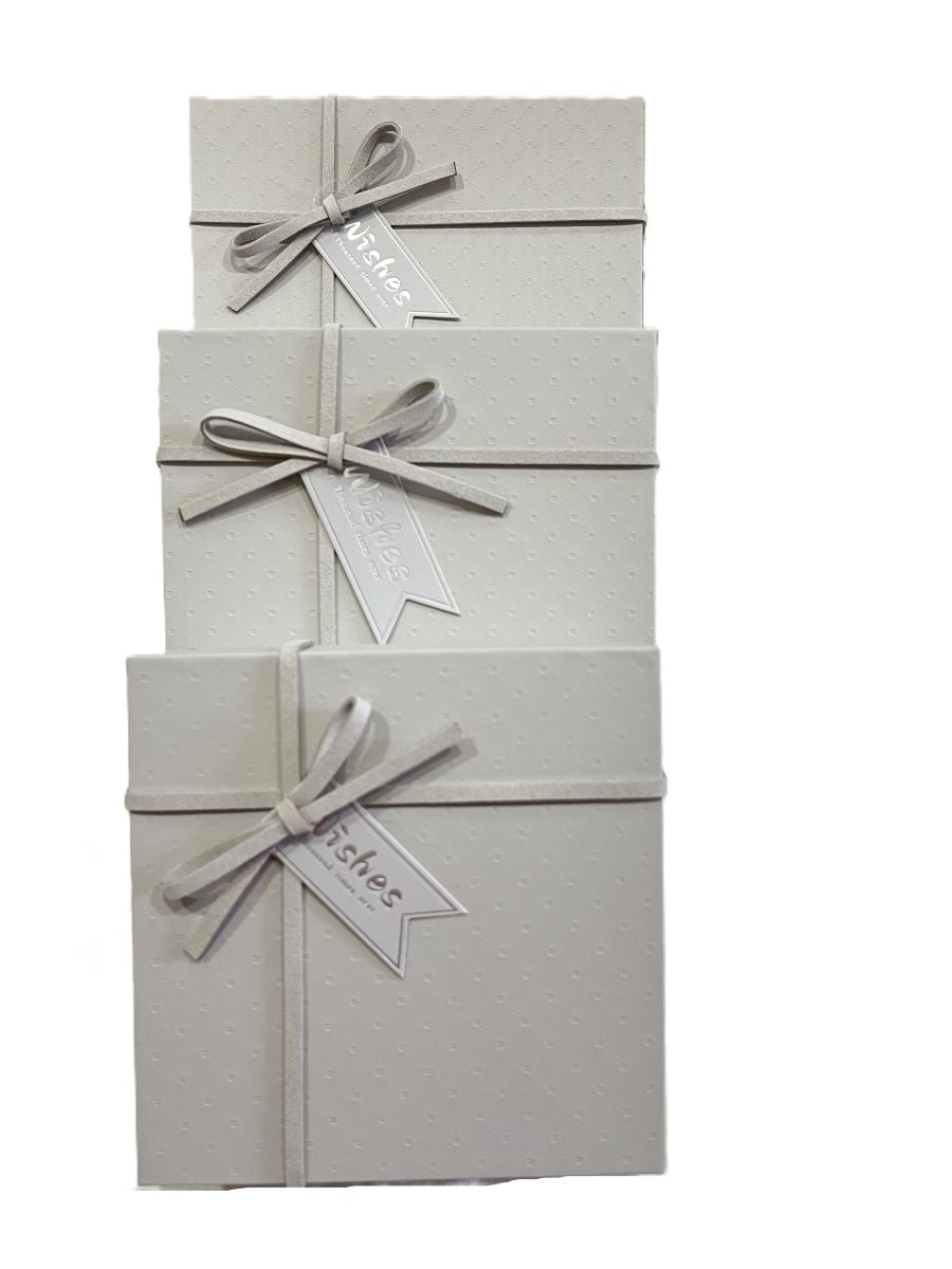 Gift Box (L) 19*19*9 Y92301