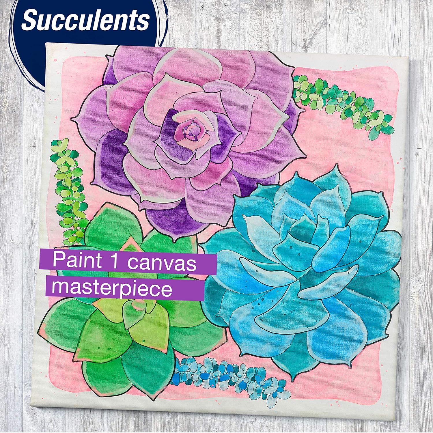 Faber-Castell Watercolour Paint by Number, Succulents-770633