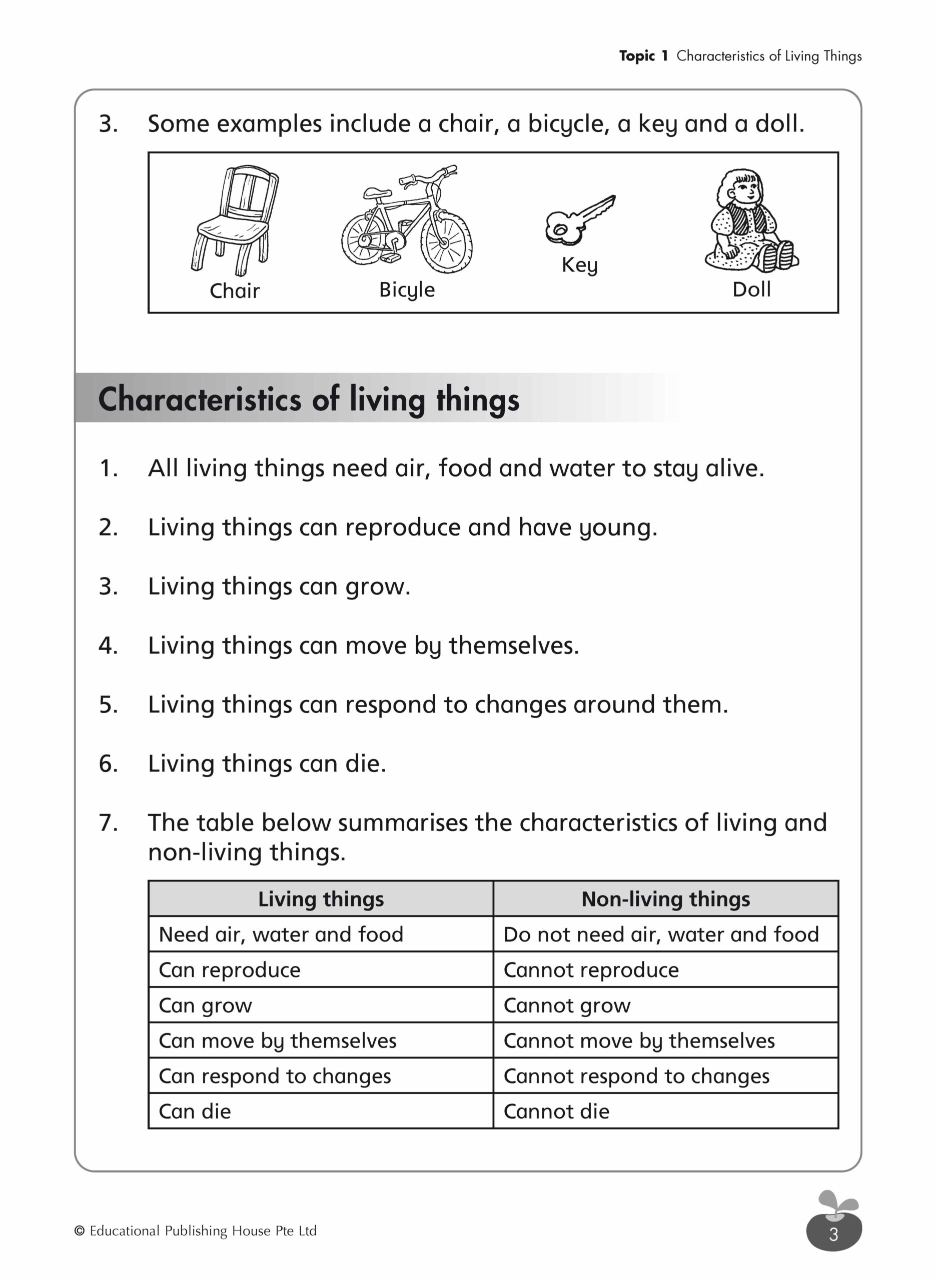 Primary 3 Science Revision Workbook