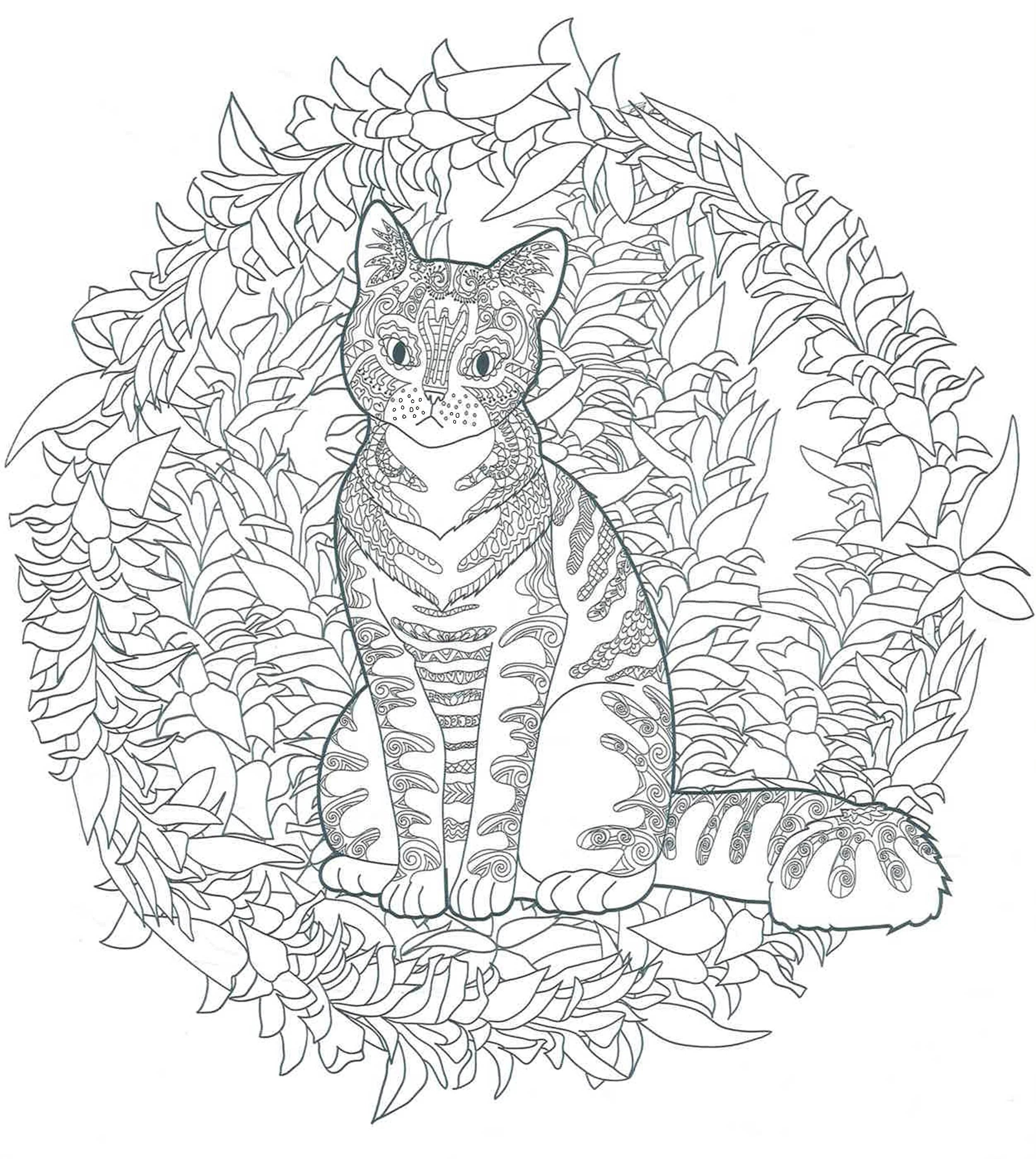 Quarto: Creative Cats Colouring Book