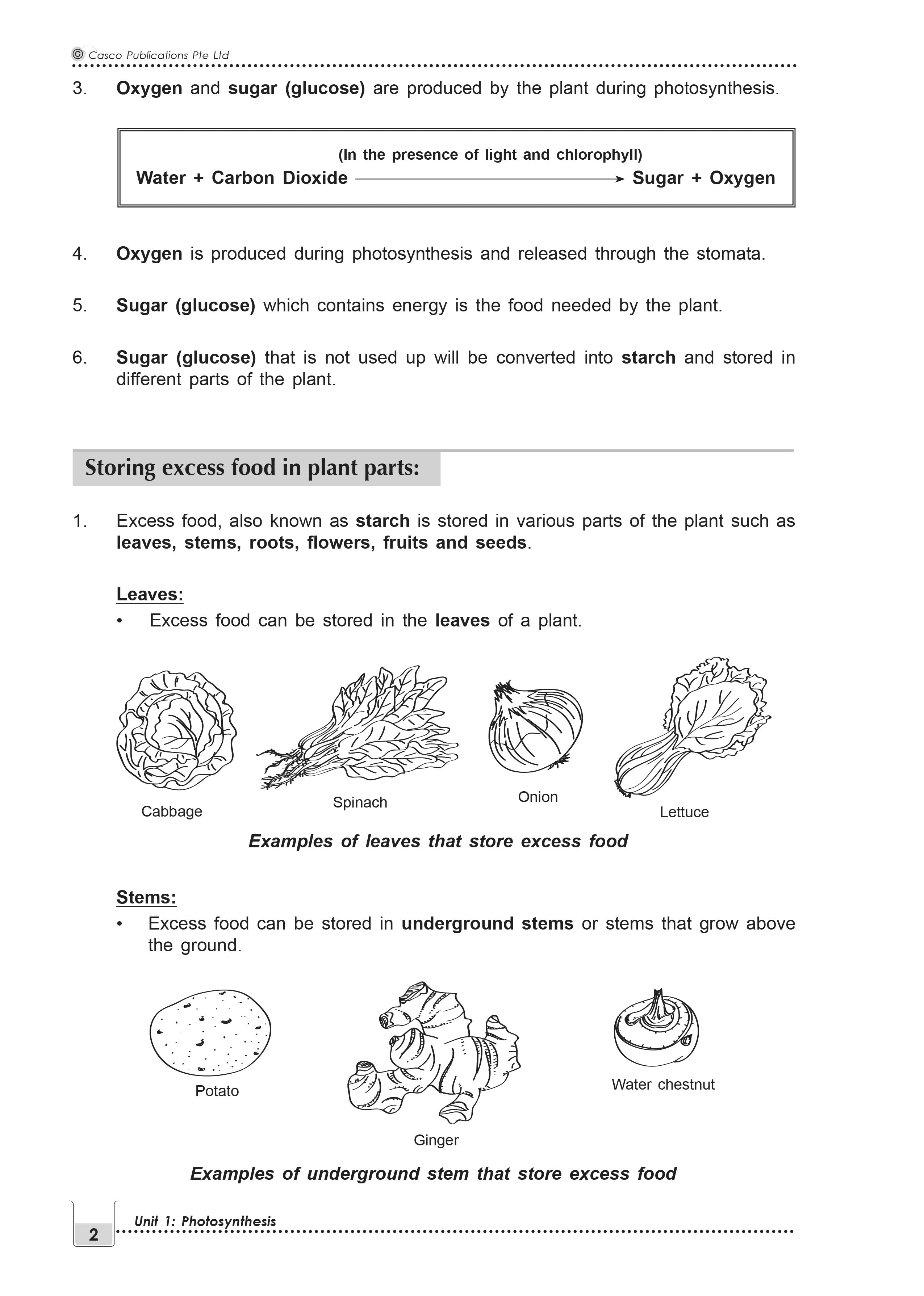 New Topical Science Primary 6 - 2nd Edition