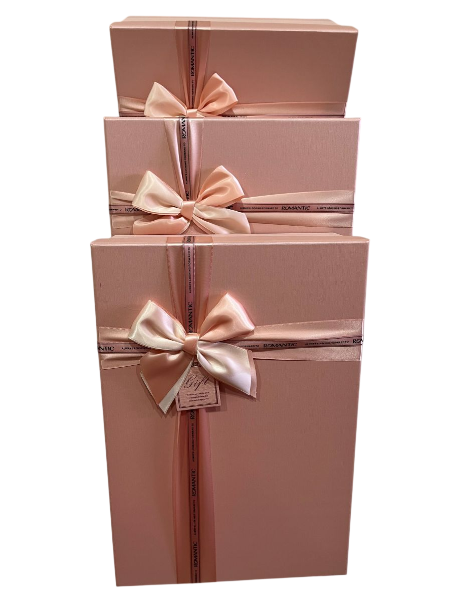 Gift Box (M) 37*26*12 Y91337
