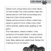 Pre-primary English Reading Comprehension
