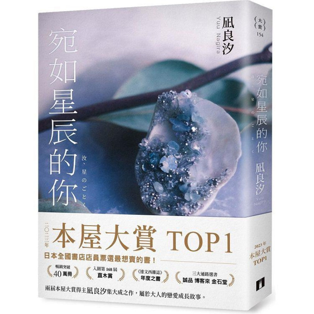 宛如星辰的你【2023年本屋大赏TOP1】（璀璨如星版书封）