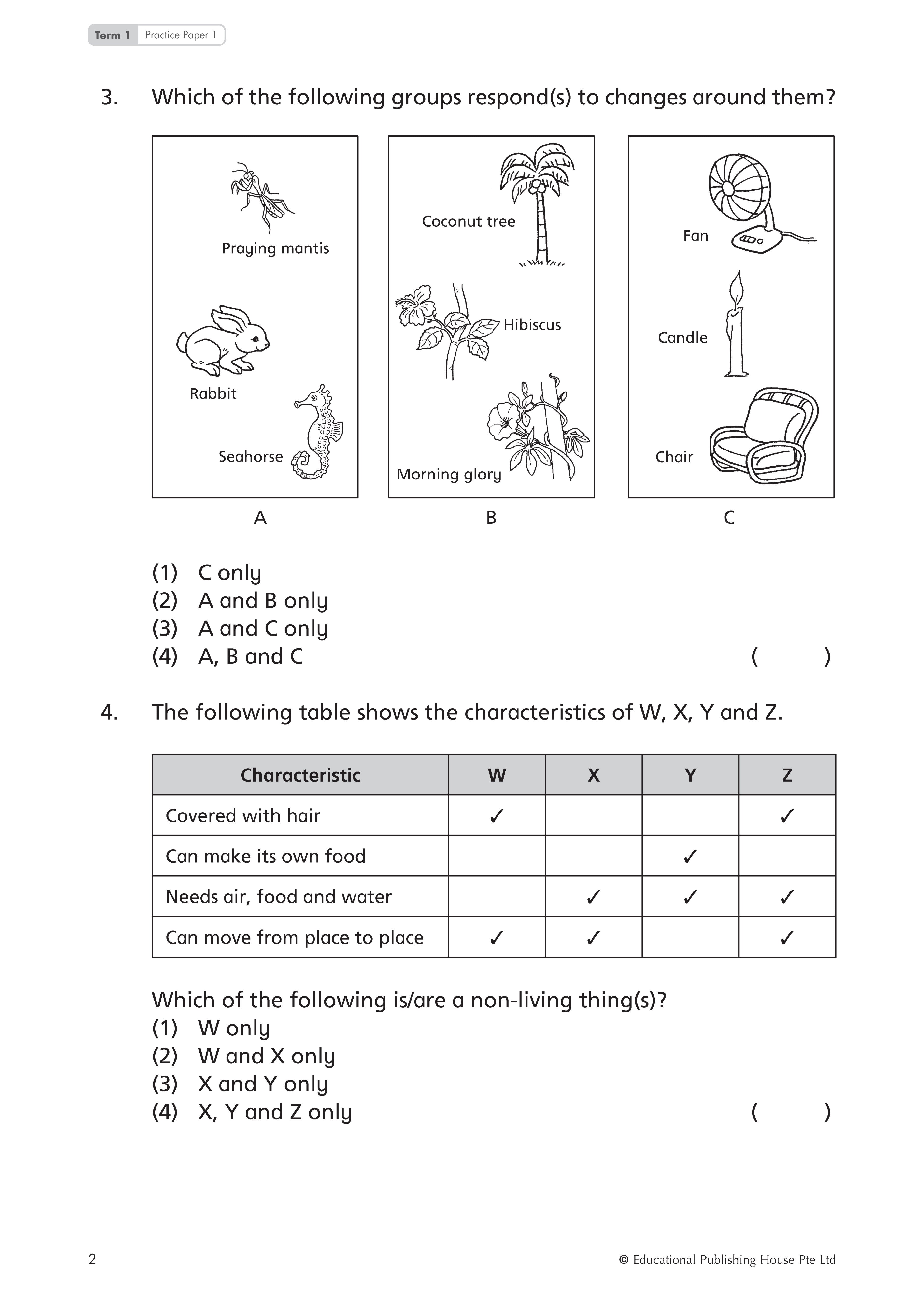 Primary 3 Top Science Practice Papers (4th Edition)