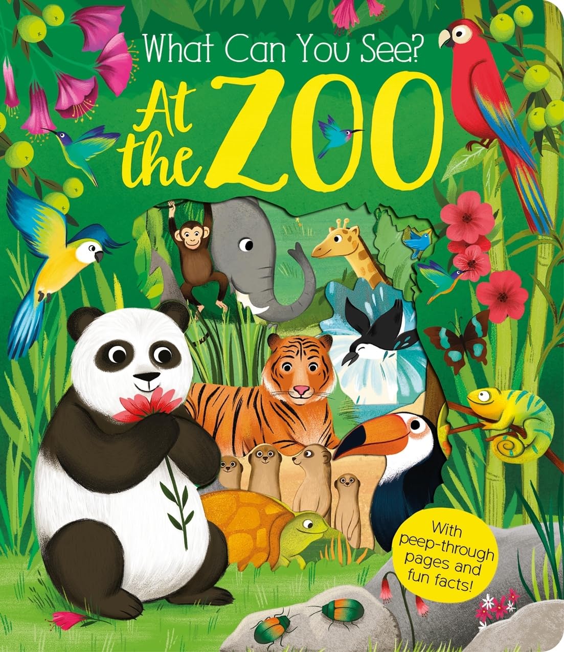 What Can You See At The Zoo? (Board Book)