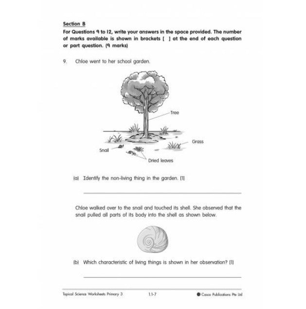 Science Topical Worksheets Primary 3