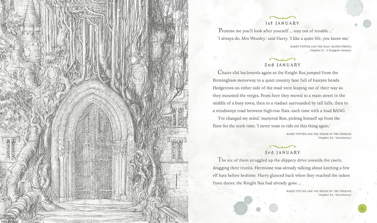 Harry Potter – A Magical Year The Illustrations of Jim Kay (Hardback)