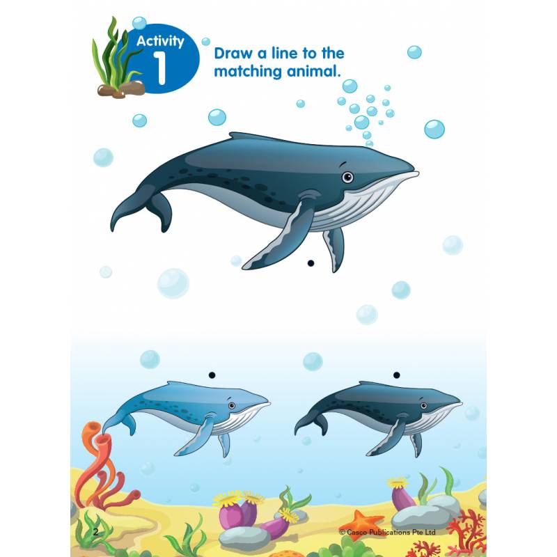 Preschool Develop Your Thinking Skills Book 2: Same and Different