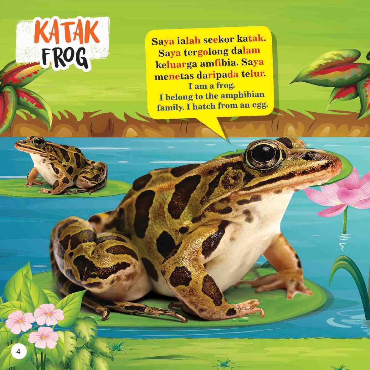 Trivia Kanak-kanak Tentang Reptilia Dan Amfibia Dwibahasa
