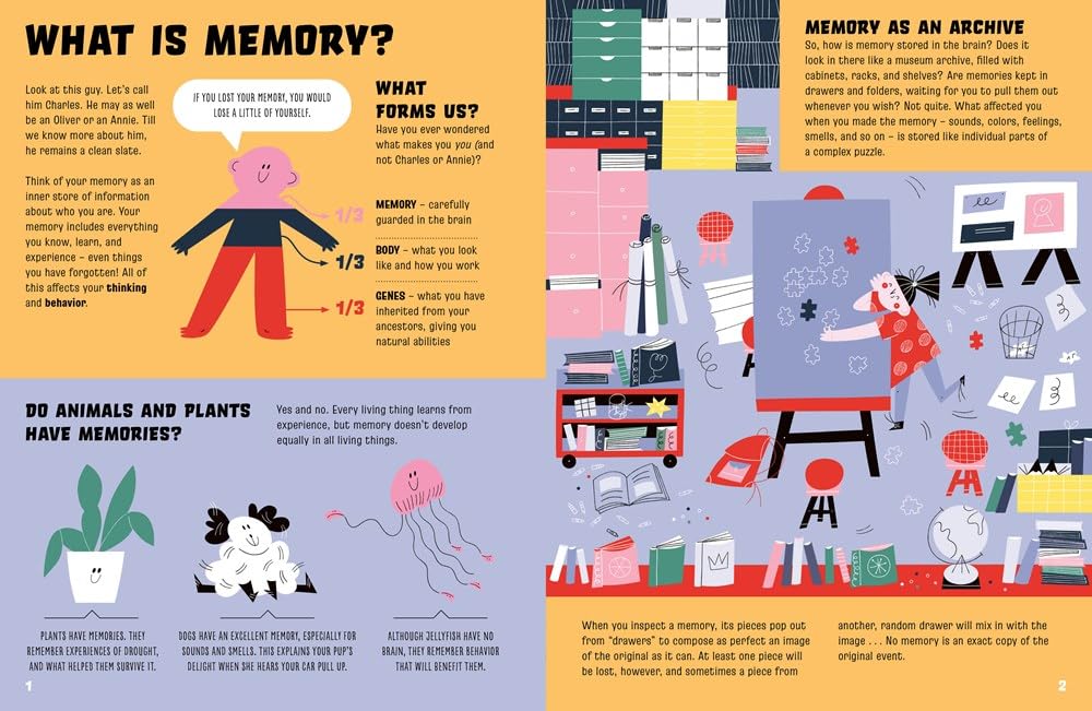 Our Marvelous Memory (How Your Brain Works)