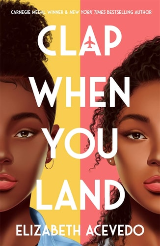 Clap When You Land (Paperback)