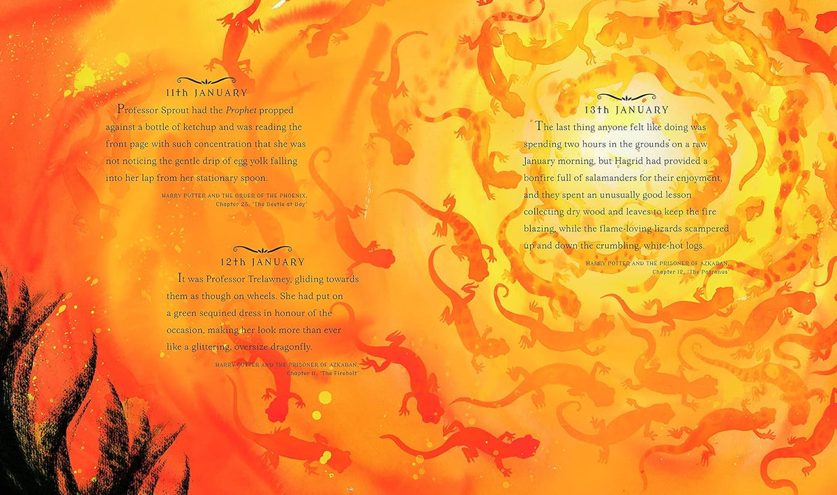 Harry Potter – A Magical Year The Illustrations of Jim Kay (Hardback)