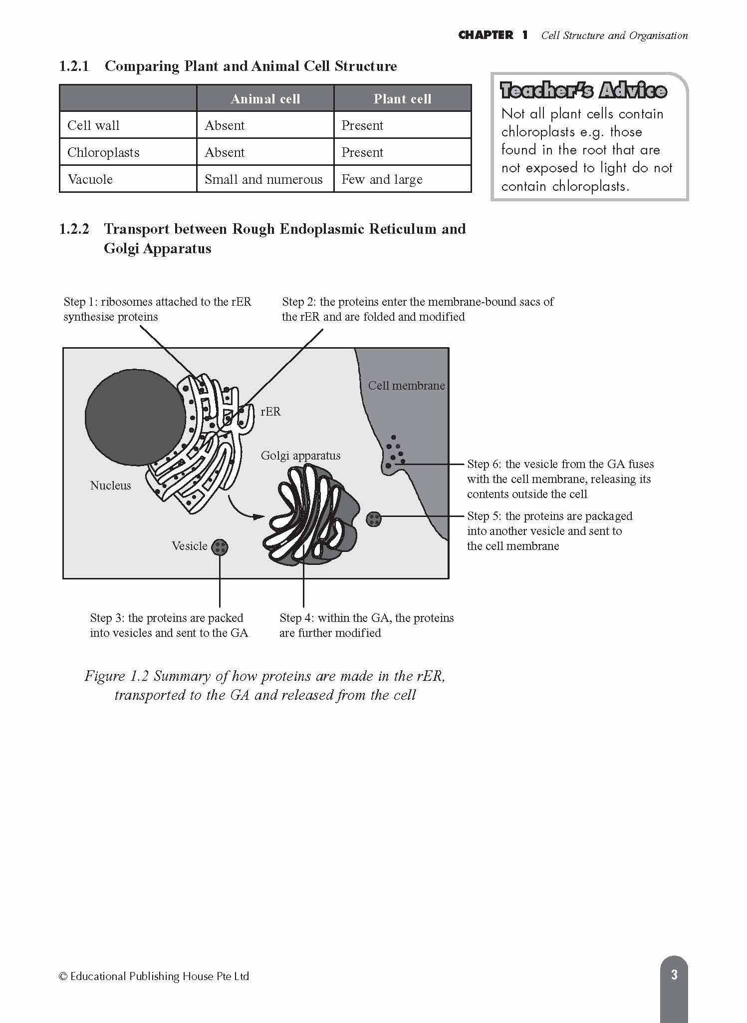 O-Level/G3 Biology Fast Forward