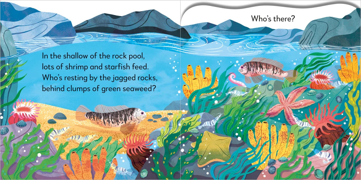 Pop Up Peekaboo! Seashore (Board Book)