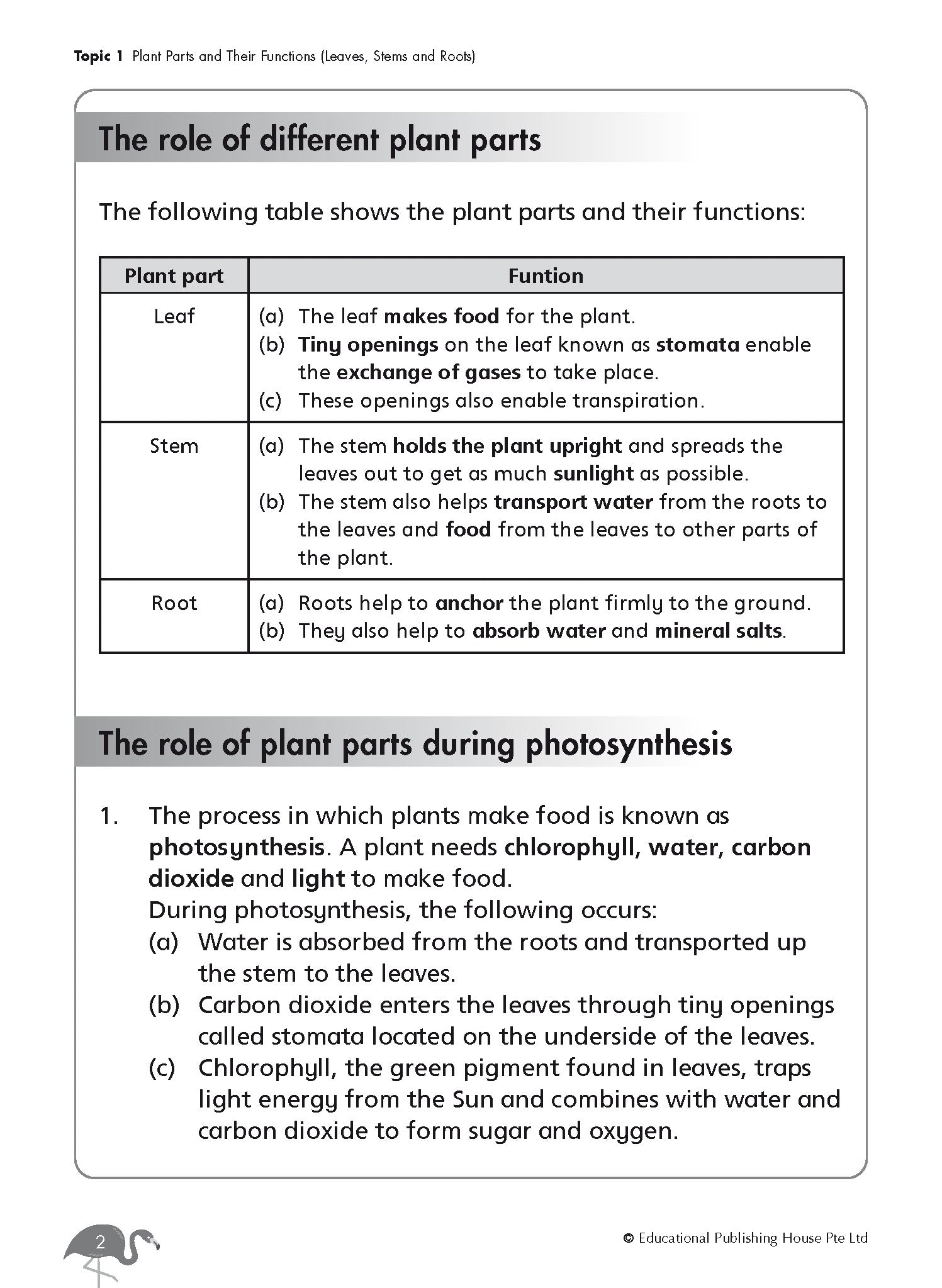 Primary 4 Science Revision Workbook
